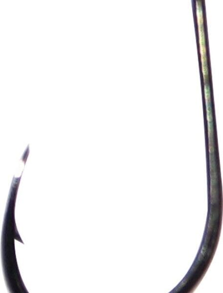 1. Cutting Point Bass_2