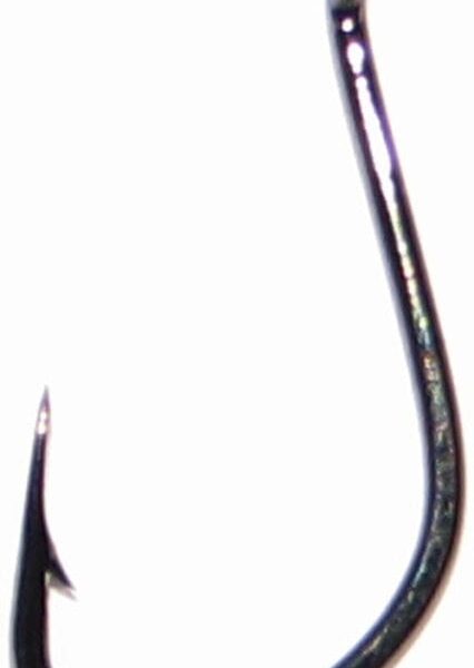 3. Cutting Point Carp_2