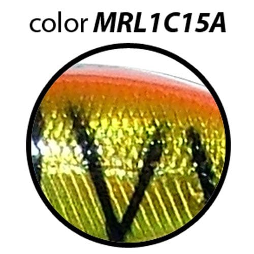 Maguro Labeo - Image 7