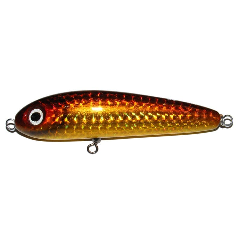 Maguro Moray - Image 5