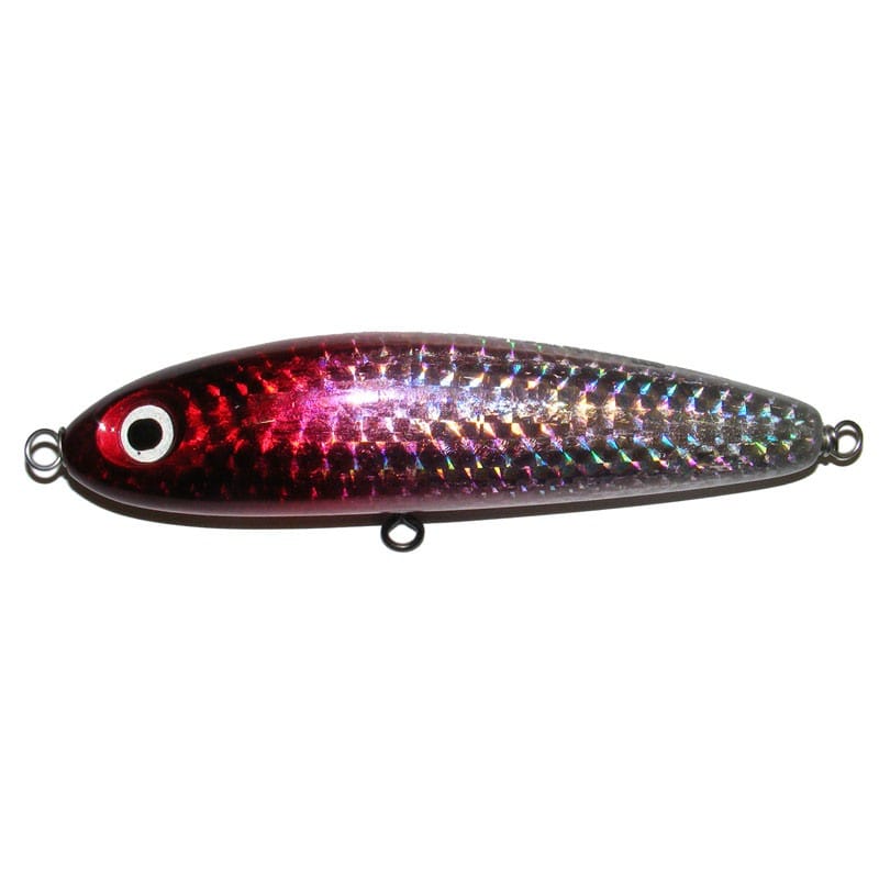 Maguro Moray - Image 4