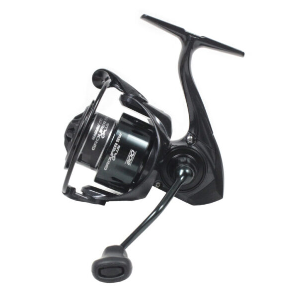 6. Grouper SW Plus 800